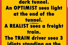 Pessimist-Optimist