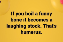 funny_bone